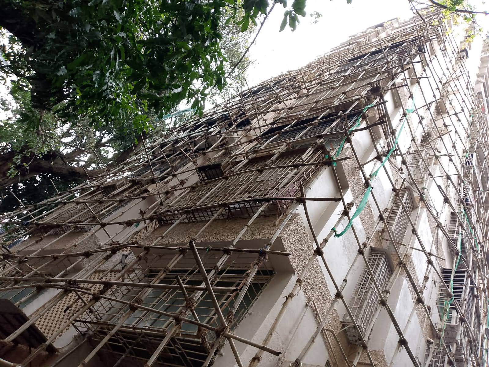 Bricrew Project Showcase